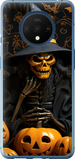 

Чохол Halloween 2 на OnePlus 7T 1639739