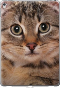 Чехол Полосатый котик для iPad Pro 12.9