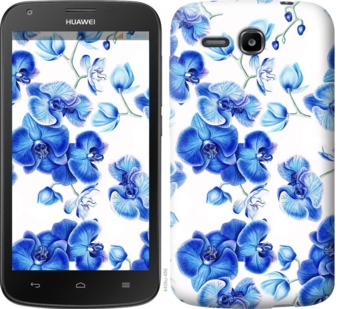 

Чехол Голубые орхидеи для Huawei Ascend Y600 725312