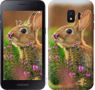 

Чохол Кролик і квіти на Samsung Galaxy J2 Core 677388