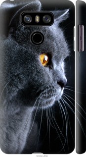 

Чохол Гарний кіт для LG G6 667232