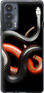 

Чехол Красно-черная змея на черном фоне для Motorola Edge 20 1685288