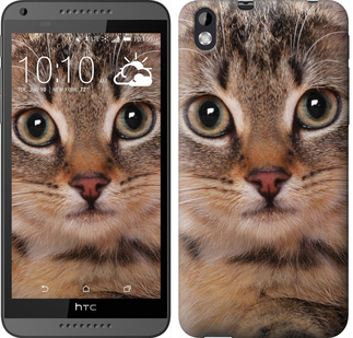 

Чехол Полосатый котик для HTC Desire 816 175599