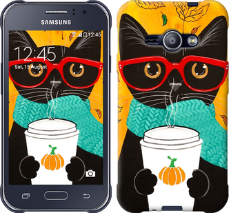 

Чехол Осенний кот для Samsung Galaxy J1 Ace J110H 580883