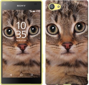 Чехол Полосатый котик для Sony Xperia Z5 Compact E5823