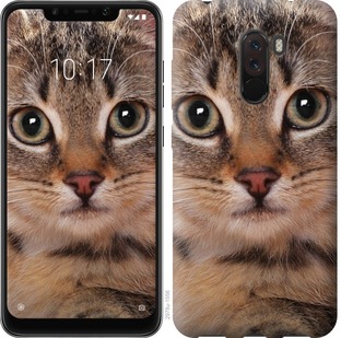 

Чохол Смугастий котик на Xiaomi Pocophone F1 675818