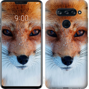 

Чохол Руда лисиця на HTC U12 Plus 779650