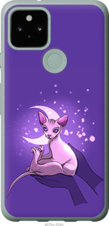 

Чехол Кот2 для Google Pixel 5 1591640