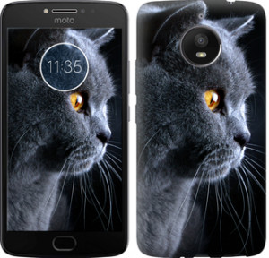 Чехол Красивый кот для Motorola Moto E4 Plus