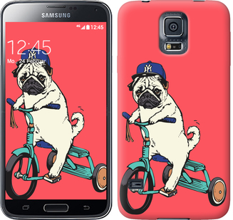 

Чохол Мопс на велосипеді на Samsung Galaxy S5 g900h 87538