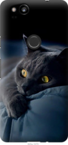 Чехол Дымчатый кот для Google Pixel 2