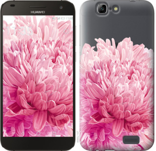 

Чехол Хризантема для Huawei Ascend G7 844564