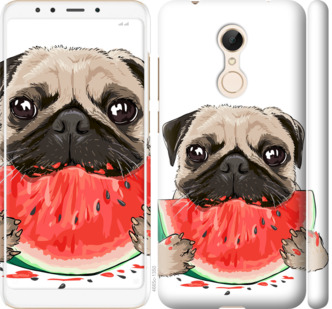 

Чохол Мопс і кавун на Xiaomi Redmi 5 843751