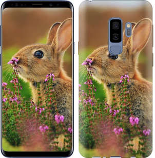 

Чохол Кролик і квіти на Samsung Galaxy S9 Plus 656645