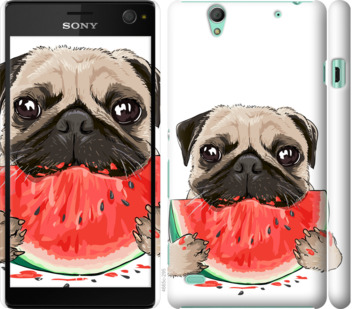 

Чохол Мопс і кавун на Sony Xperia C4 E5333 843675