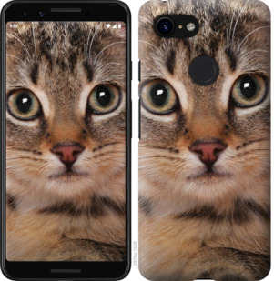 

Чохол Смугастий котик на Google Pixel 3a 875930