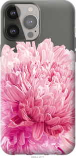 

Чохол Хризантема на iPhone 13 Pro Max 1190872
