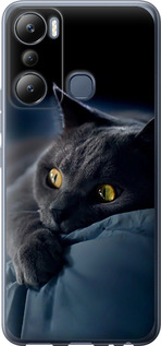 Чохол Димчастий кіт на Infinix Hot 20i