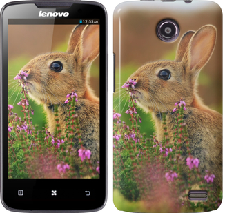 

Чехол Кролик и цветы для Lenovo A820 149946