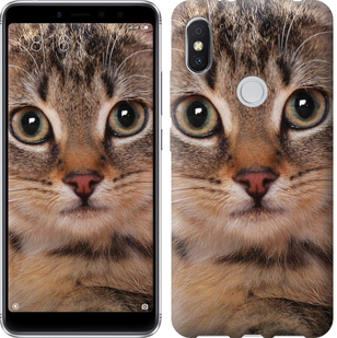 

Чехол Полосатый котик для Xiaomi Redmi S2 655429