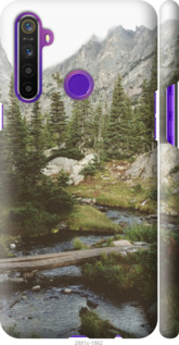 Чехол Природа для Realme 6i