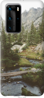 

Чехол Природа для Huawei P40 Pro 949268
