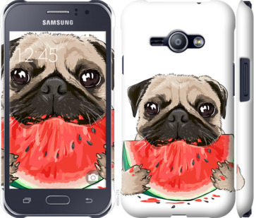 

Чохол Мопс і кавун на Samsung Galaxy J1 Ace J110H 843499