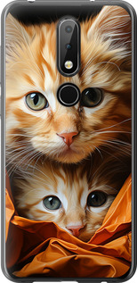 

Чехол Котики 2 для Nokia 6.1 Plus 1647921