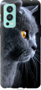 Чехол Красивый кот для OnePlus Nord 2