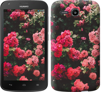 

Чехол Куст с розами для Huawei Ascend Y600 639451