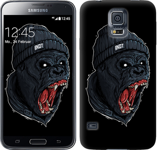 

Чохол Мавпа в люті на Samsung Galaxy S5 Duos SM G900FD 554565