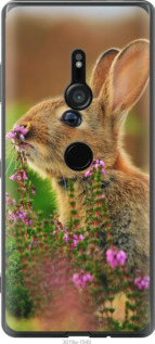 

Чохол Кролик і квіти на Sony Xperia XZ3 H9436 695478