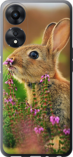 

Чохол Кролик і квіти на Oppo A78 5G 1696194