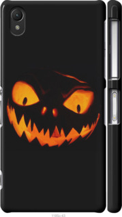 

Чехол Огненный Джек v1 для Sony Xperia Z2 D6502/D6503 1422920