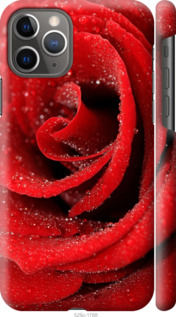 

Чехол Красная роза для iPhone 11 Pro 948360