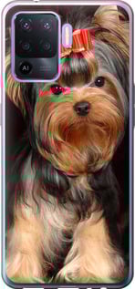 

Чехол Йоркширский терьер для Oppo A94 1634880
