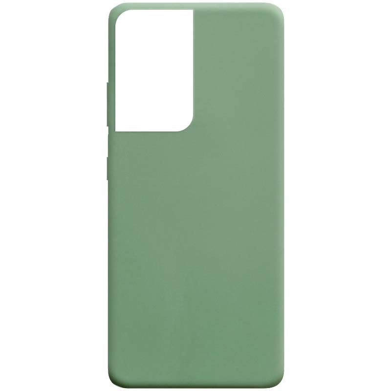 

Силіконовий чохол Candy на Samsung Galaxy S21 Ultra (Фисташковый) 1101174