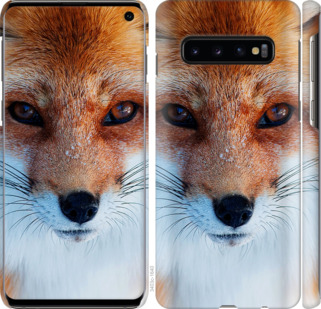 

Чохол Руда лисиця на Samsung Galaxy S10 703658