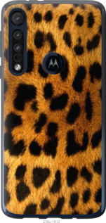 

Чехол Шкура леопарда для Motorola One Macro 1497614