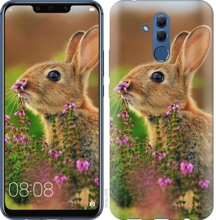 

Чохол Кролик і квіти на Huawei Mate 20 Lite 677419