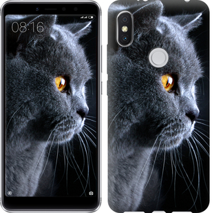 

Чохол Гарний кіт на Lenovo S5 Pro 687605
