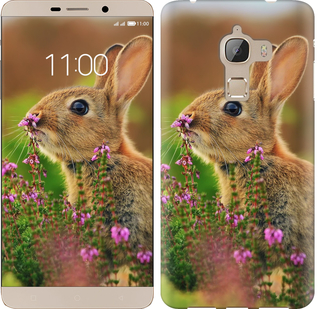 

Чехол Кролик и цветы для LeTV Max X900 304906
