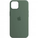 Чехол Silicone Case Full Protective (AA) для Apple iPhone 14 Pro Max (6.7") (Зеленый / Eucalyptus)