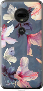 Чехол Нарисованные цветы для Motorola Moto G7
