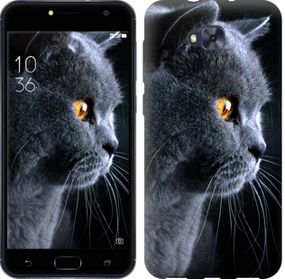 

Чехол Красивый кот для Asus ZENFONE 4 SELFIE / ZD553KL 626697
