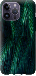 

Чехол Колоски для iPhone 14 Pro Max 1580209