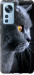 Чехол Красивый кот для Xiaomi 12