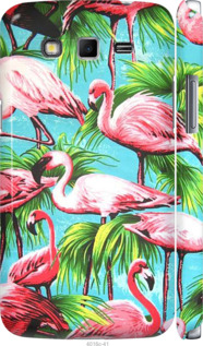

Чехол Tropical background для Samsung Galaxy Grand 2 G7102 270719