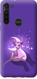 

Чехол Кот2 для Motorola G8 Power 1591604