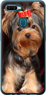 

Чохол Нарисованный йоркширский терьер для iPhone на Oppo A12 1634894